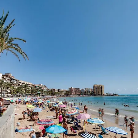 Caballero De Rodas Torrevieja